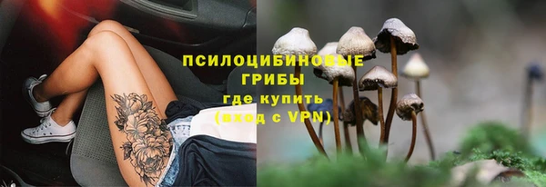 ешки Алексин
