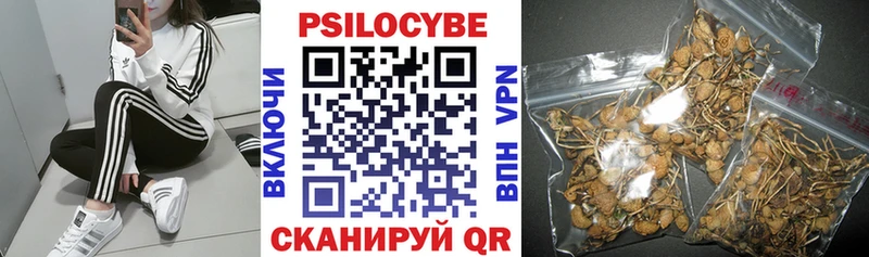 Галлюциногенные грибы MAGIC MUSHROOMS  Дыгулыбгей 